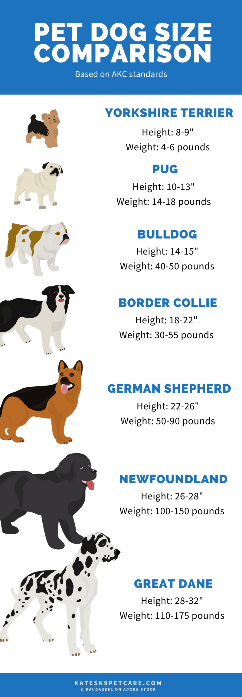 Newfoundland Dog Size Comparison