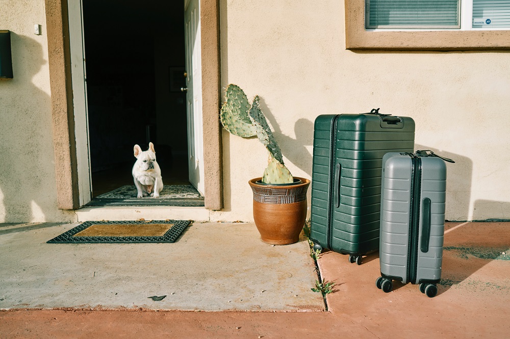 Small dog in doorway accompanied by suitcases.