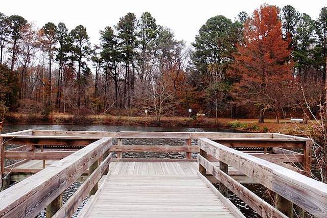 A photo of Henson Creek Trail