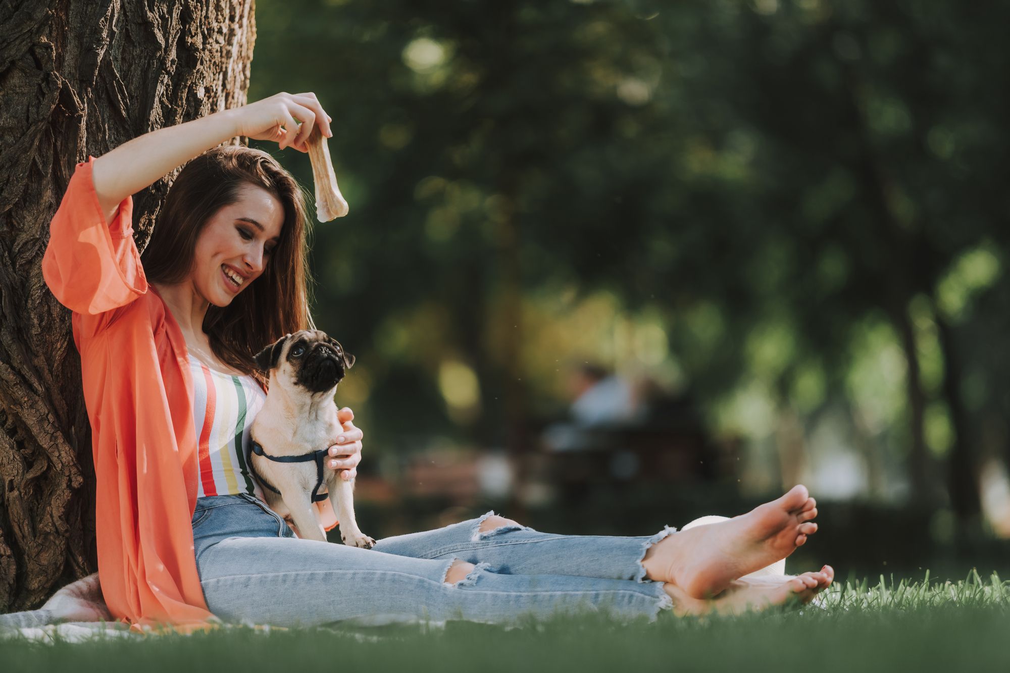 All The Best Pet Care In One Place Kate's K9 Pet Care