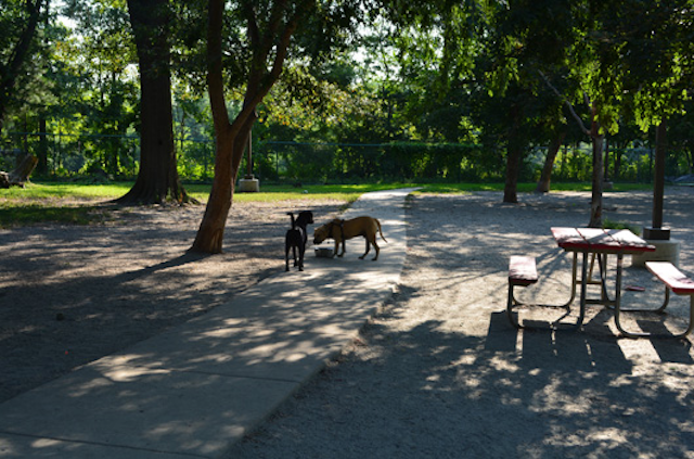 Towers Dog Park