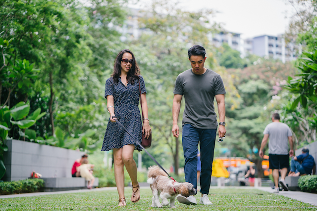 A couple with their dog in a dog park