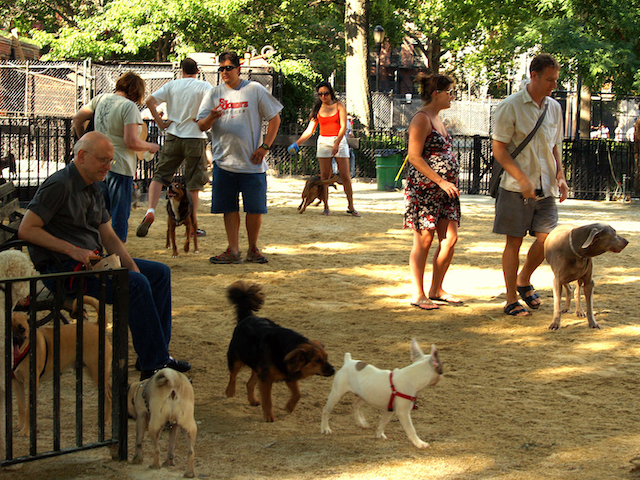 Founders Park Off-Leash Dog Area