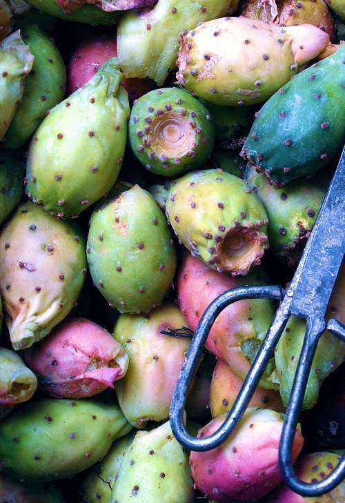 Prickly pear cactus fruit