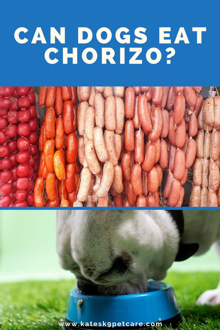 Split image showing hanging sausages and a bulldog eating from a bowl. Can dogs eat chorizo?