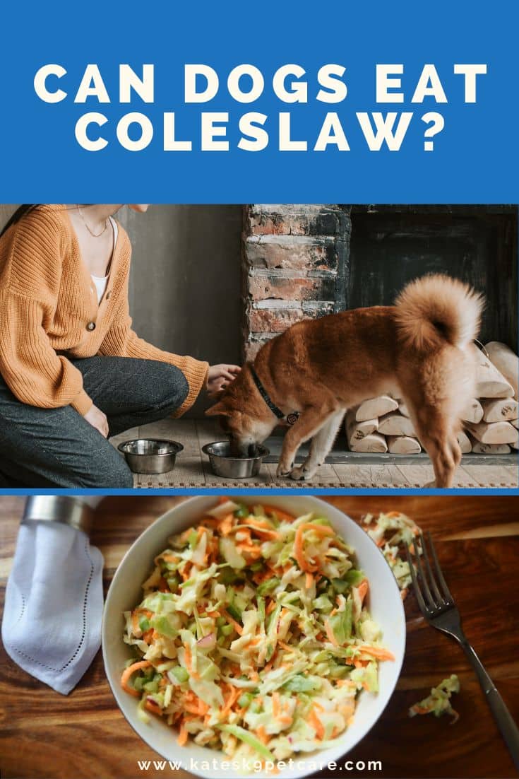 Split image of dog eating from bowl (top) and bowl of coleslaw (bottom)