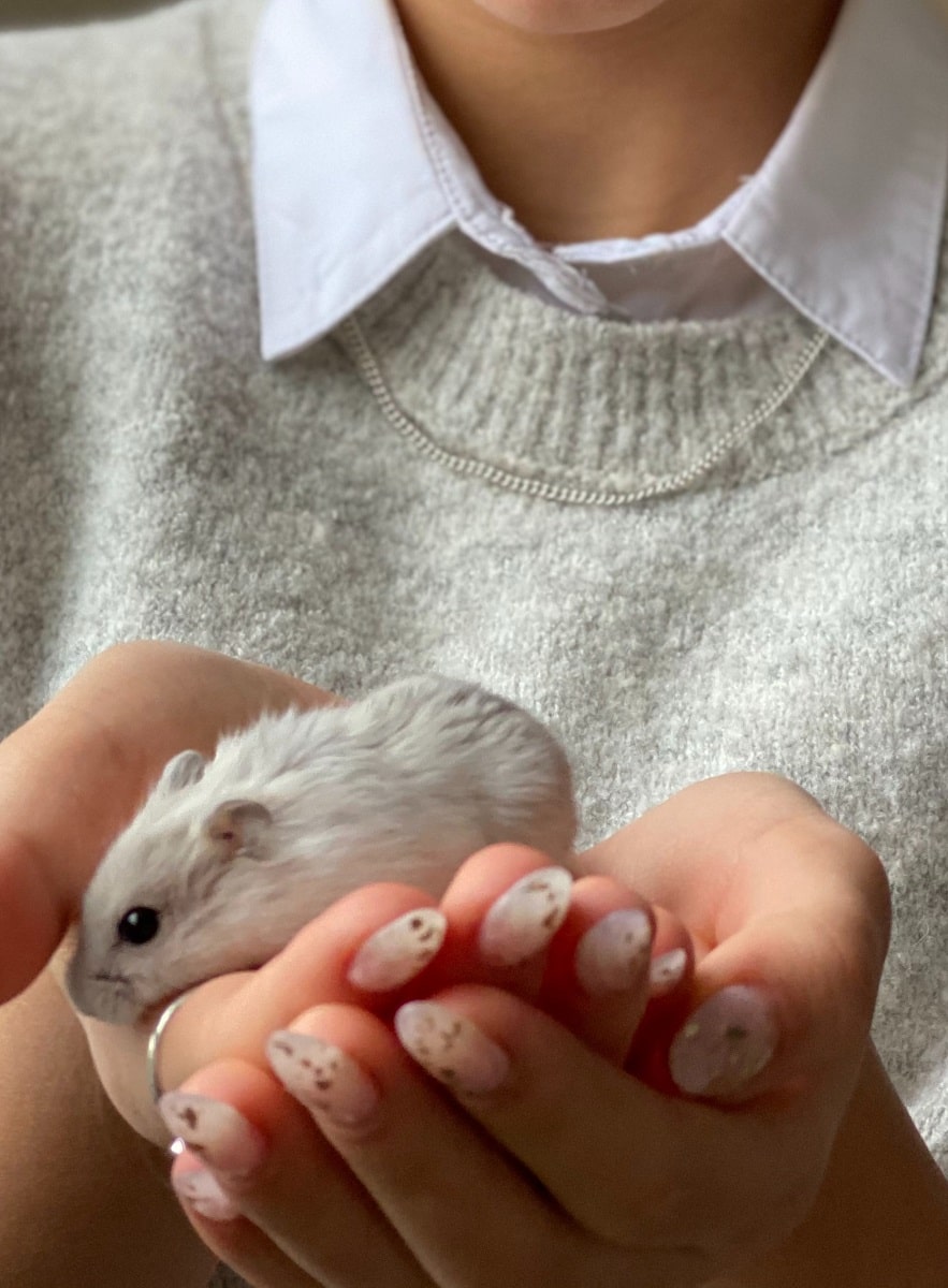 Holding a hamster