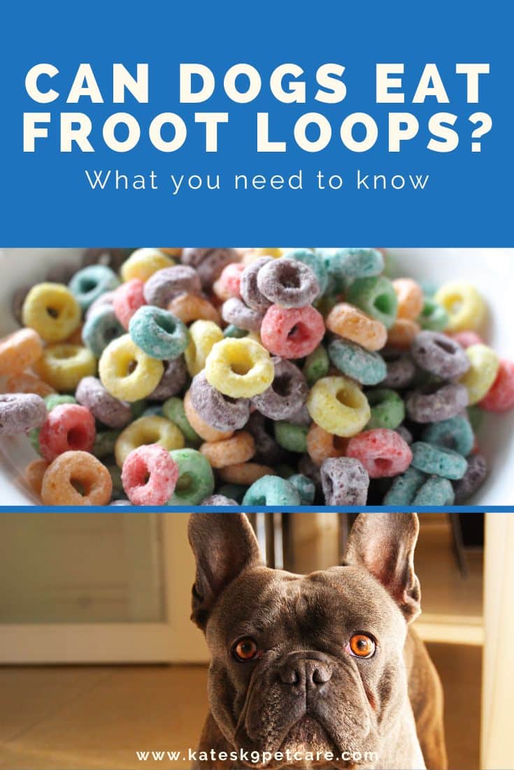 Can dogs eat froot loops