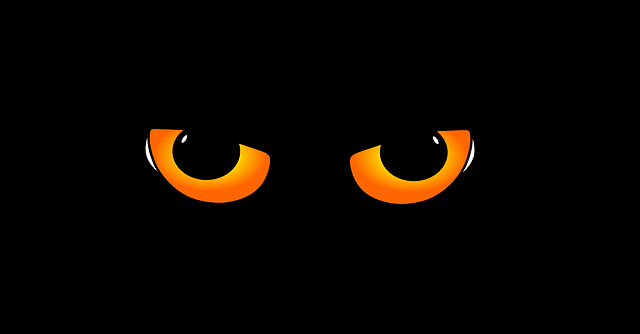 Black cat with orange eyes