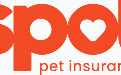 spot pet insurance