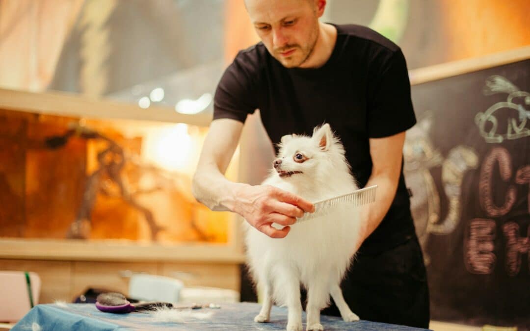 The Ultimate Guide to Dog Grooming: Tips and Techniques for Pet Owners
