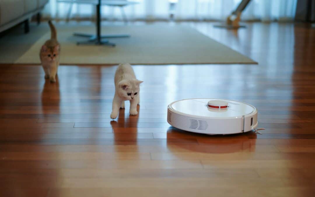 Pet Hair Remover: Tips and Tricks To Removing Pet Hair
