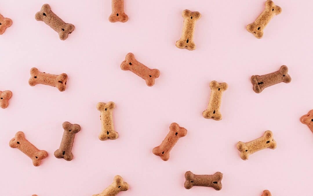 Exploring the World of Dog Treats To Keep Your Pup Healthy and Happy