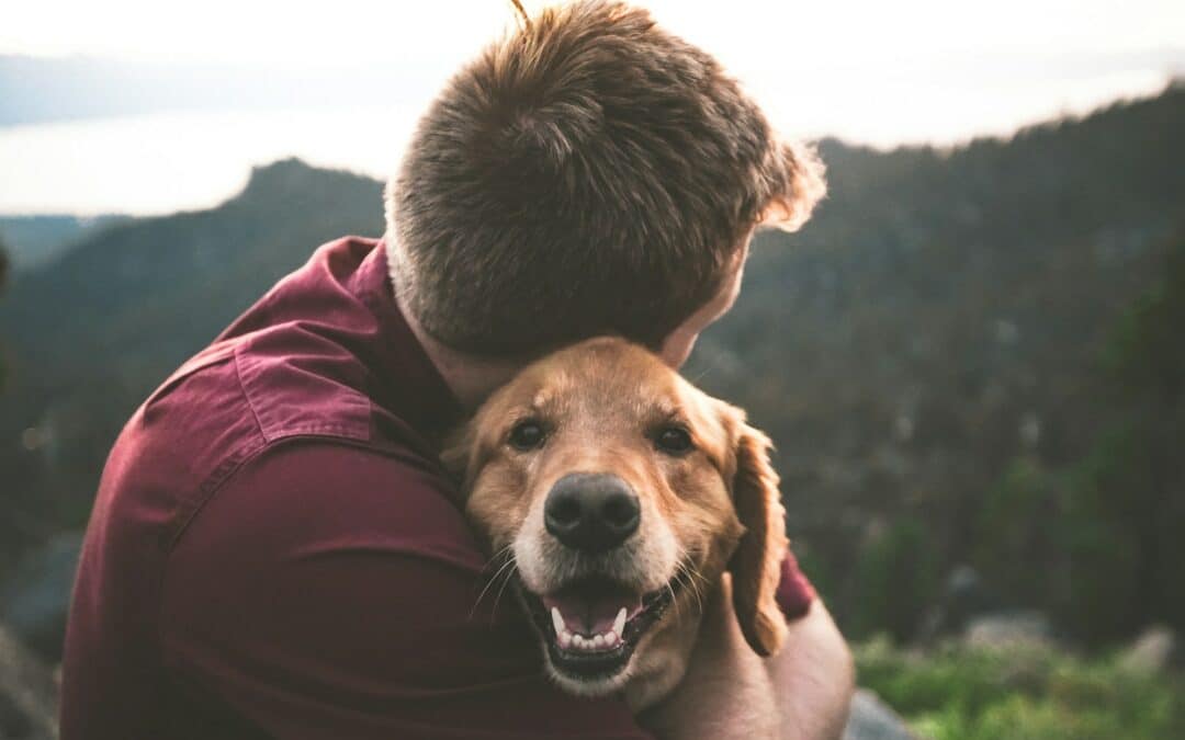 Finding the Perfect Dog Sitters in Lorton for Your Furry Friends