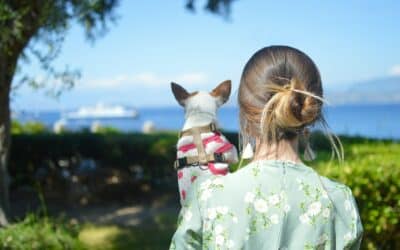 Top Dog Walker in Springfield: Find the Perfect Match for Your Pup