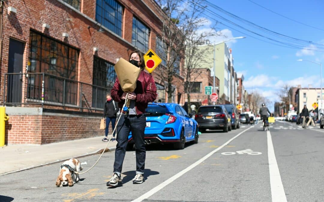 Finding the Perfect Dog Walker in Lorton Made Simple