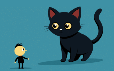 Finding the Perfect Cat Sitter in Belle Haven, VA