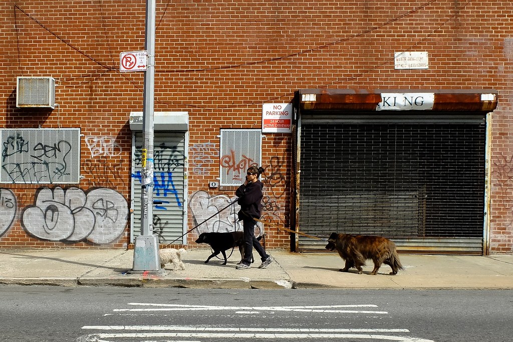 Finding the Perfect Dog Walker in Waldorf, MD 6 229d56f6 f66f 48c9 b07b fa153b498827