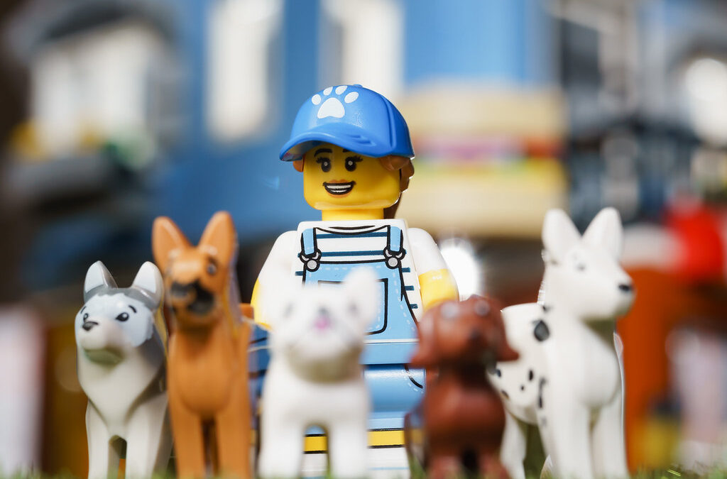 Finding the Perfect Dog Walker in Waldorf, MD
