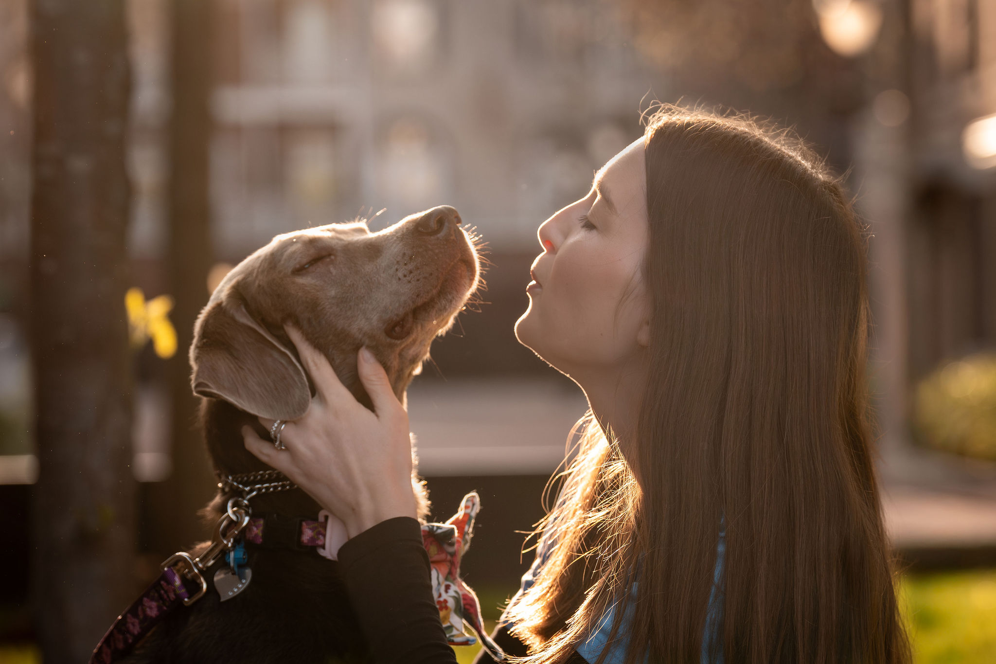 kate's k9 pet care