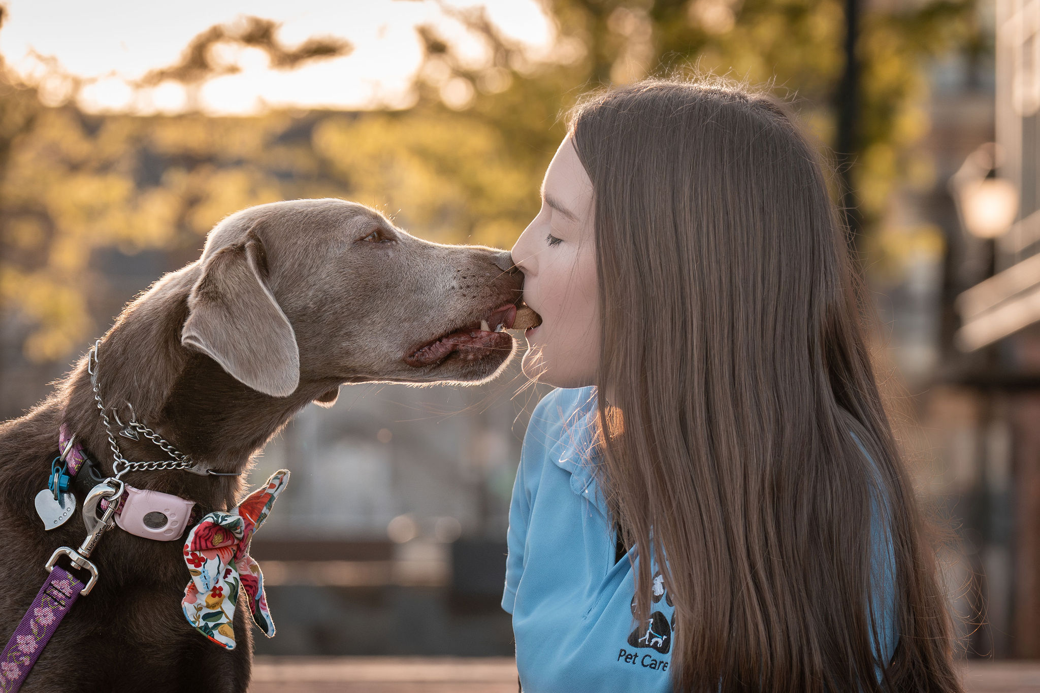 Kate_Golden_Hour_OldTownAlexandria-16 A dog walking in the park