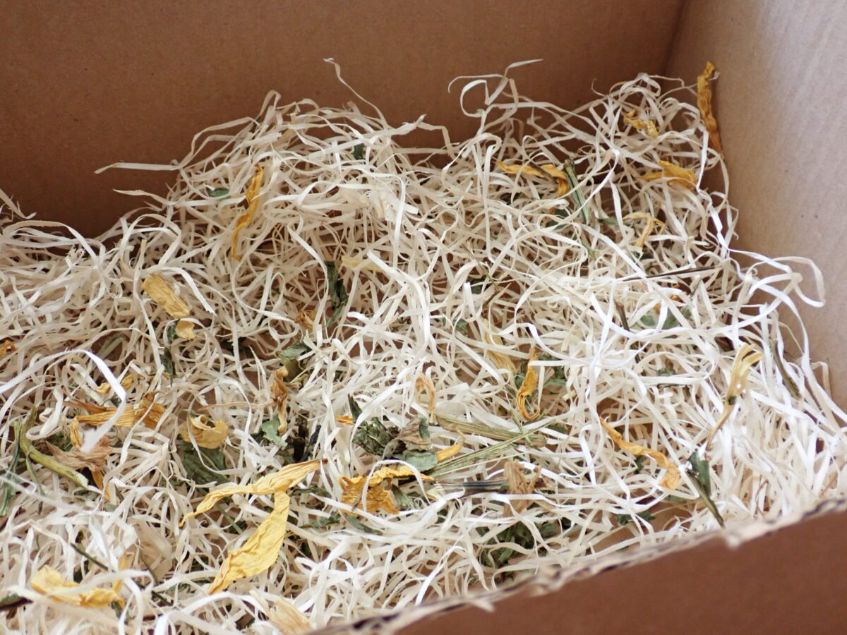 Progress picture while making a rodent foraging box
