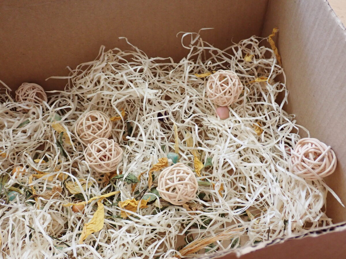 How To Make A Rodent Foraging Box (For Mouse, Hamster, Rat, Degu & Gerbil!) 10 Completed rodent foraging box