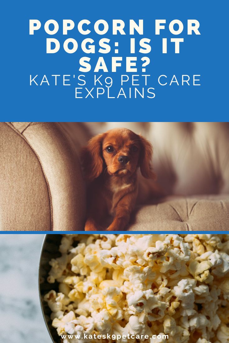 Split image showing a dog on a sofa and a bowl of popcorn, with text above saying "Popcorn for dogs: is it safe? | Kate's K9 Pet Care explains"