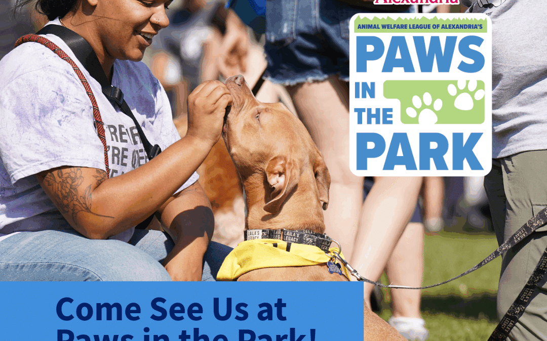 Kate’s K9 Pet Care at Paws in the Park 2025
