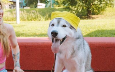 The Comprehensive Guide to Dog Walking and Professional Pet Care