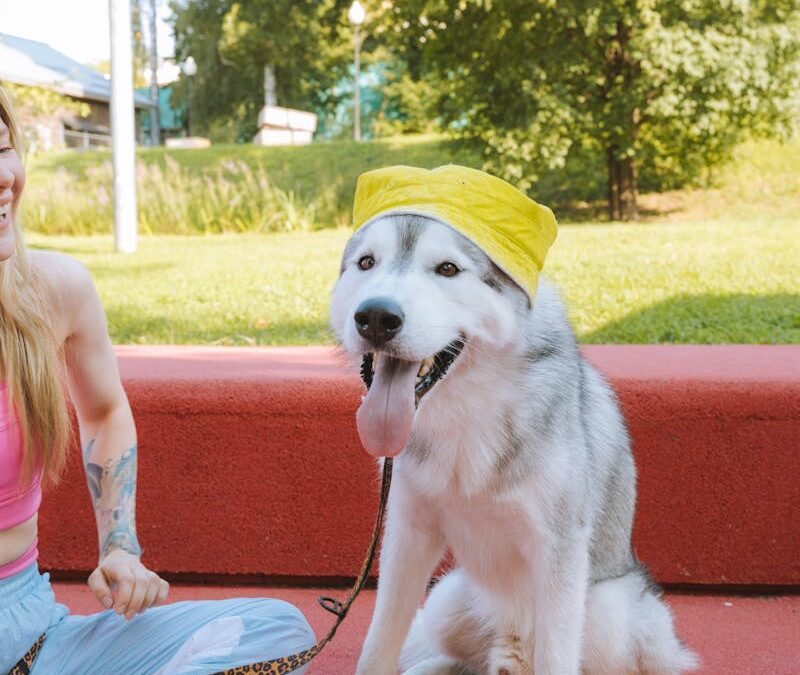 The Comprehensive Guide to Dog Walking and Professional Pet Care