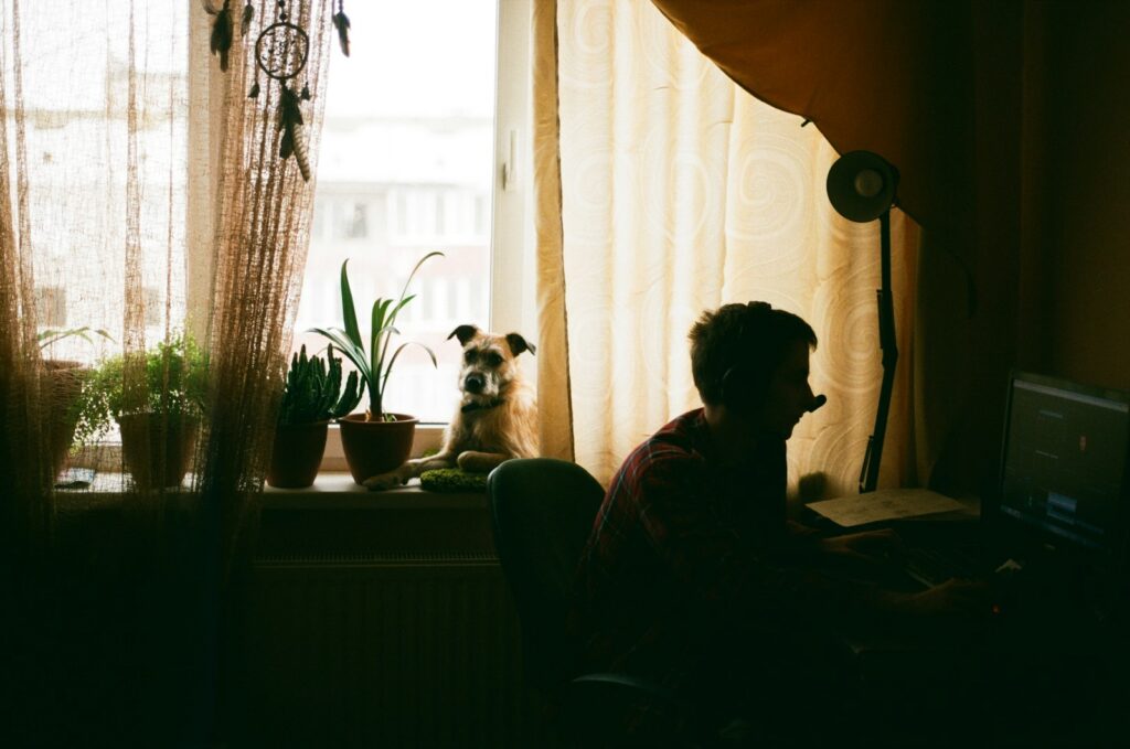 The Ultimate Guide to Finding the Perfect In-Home Dogsitter 5 silhouette of man sitting beside table