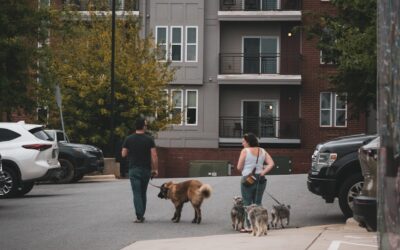 Pet Friendly Apartments to Consider in Fort Washington, Maryland