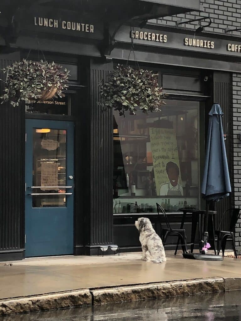 a dog sitting outside a store
