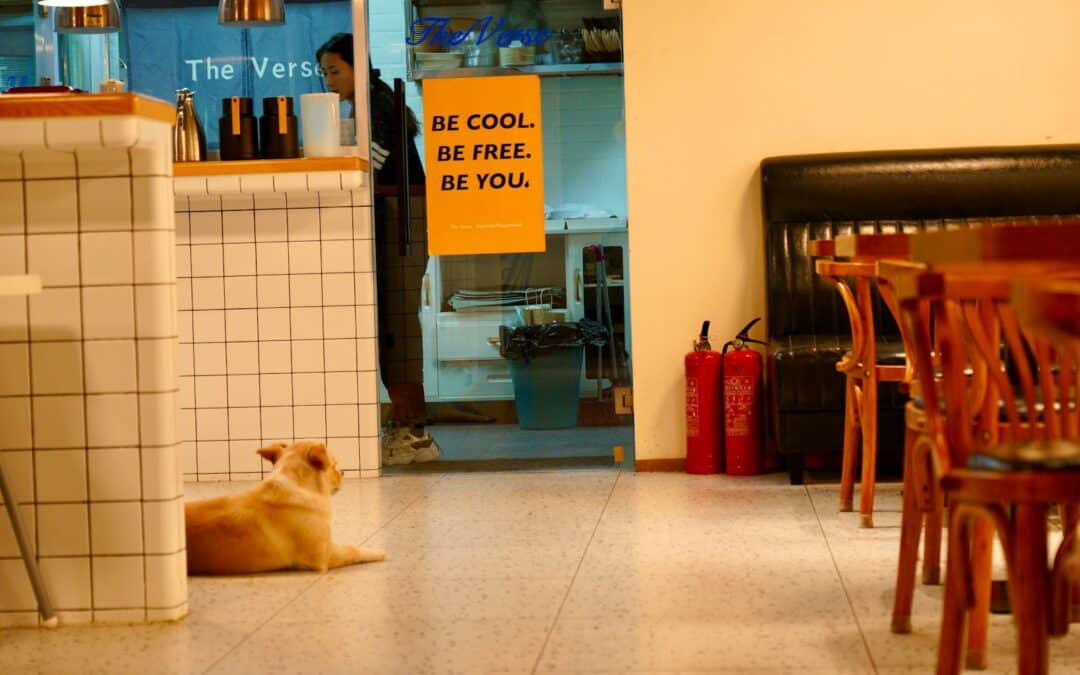 Dog Friendly Restaurants in Alexandria, Arlington, and Springfield to Try This Fall