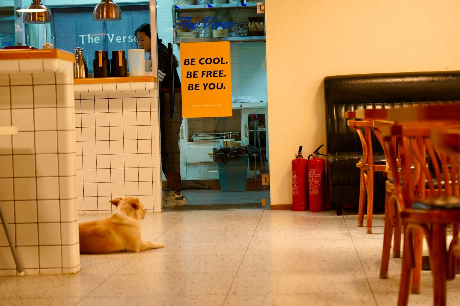 Photo by Yusong He dog friendly restaurants