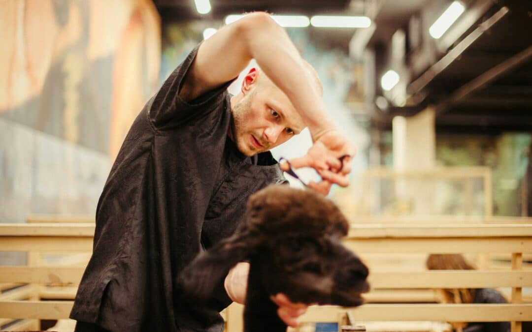 Northern Virginia Based Pet Groomers To Consider This Fall