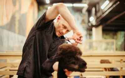 Northern Virginia Based Pet Groomers To Consider This Fall