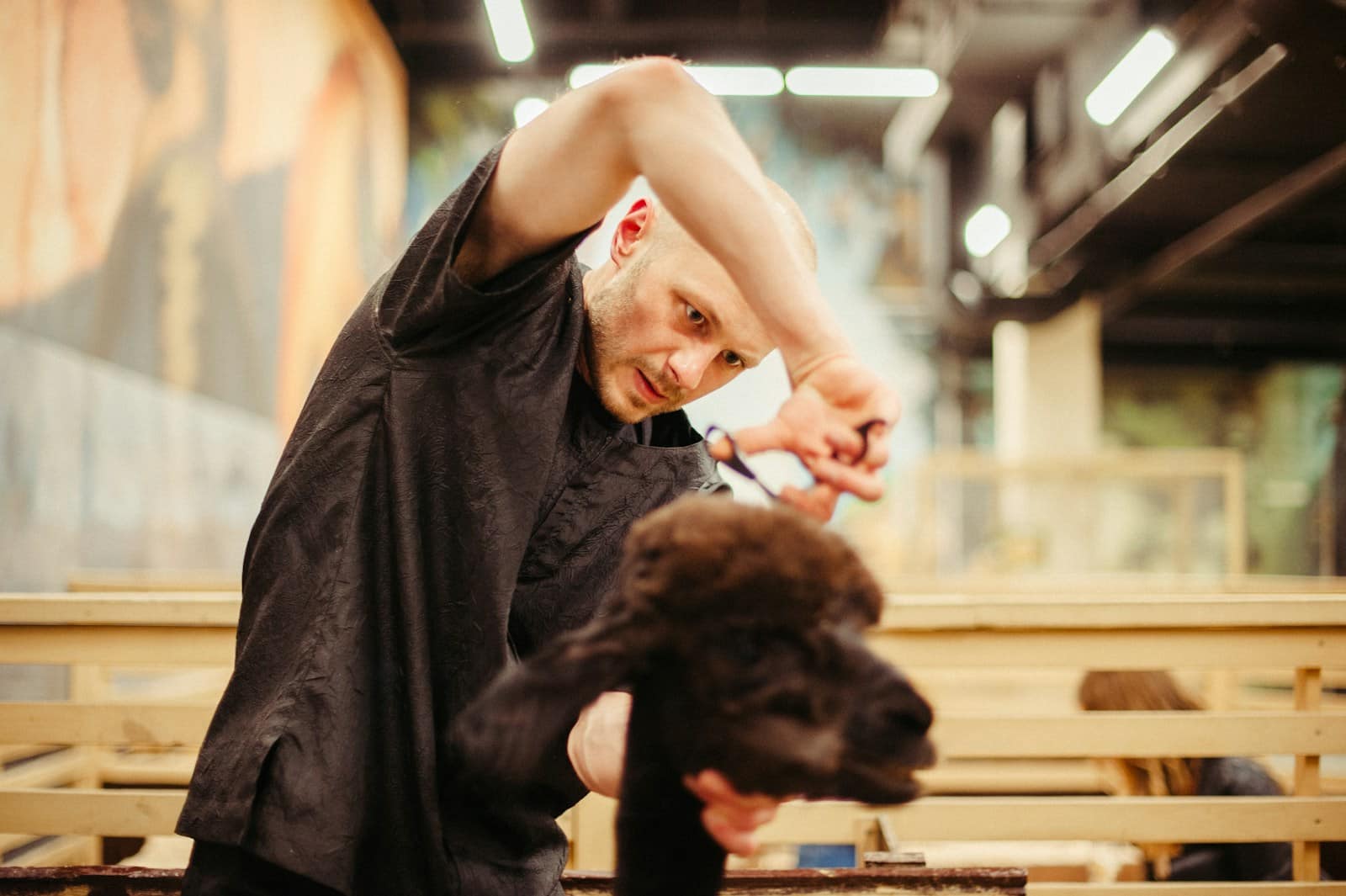 pet groomers