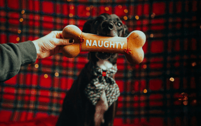 Christmas Gift Ideas for Dog Lovers in Northern Virginia and Southern Maryland