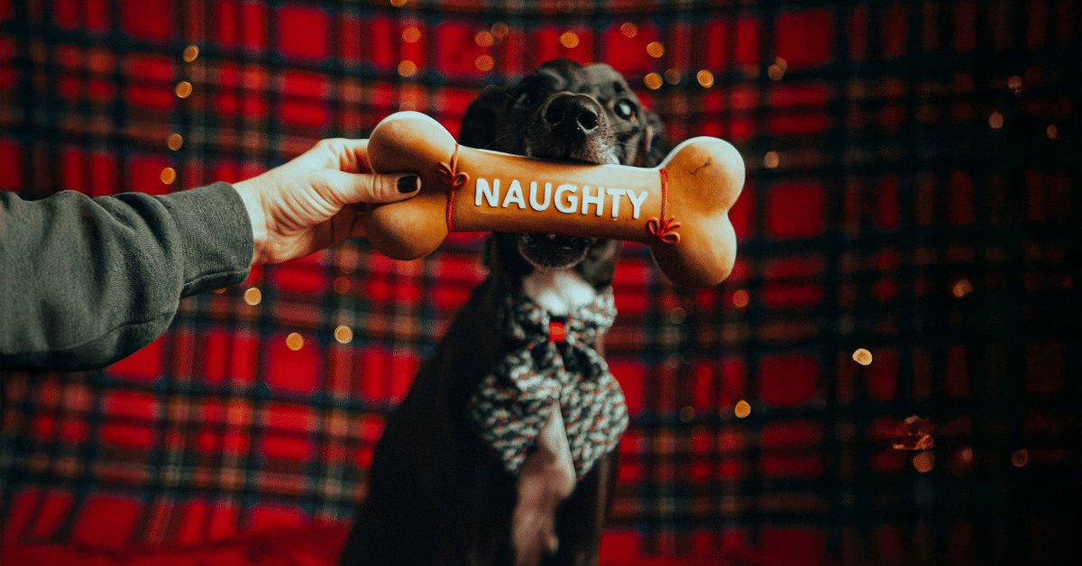 christmas gift ideas