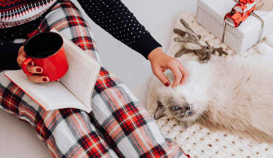 Holiday Pet Sitting in Alexandria and Arlington: Stress-Free Care for Your Pets While You Travel