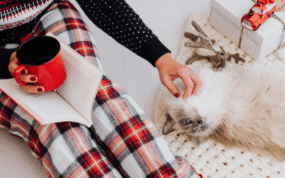 Holiday Pet Sitting in Alexandria and Arlington: Stress-Free Care for Your Pets While You Travel