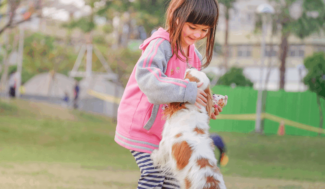 Off Leash Dog Parks in Northern Virginia and Southern Maryland: Let Your Pup Run Free Before Winter Sets In