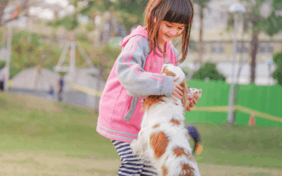 Off Leash Dog Parks in Northern Virginia and Southern Maryland: Let Your Pup Run Free Before Winter Sets In