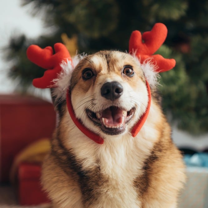 Depositphotos 212581568 S 1