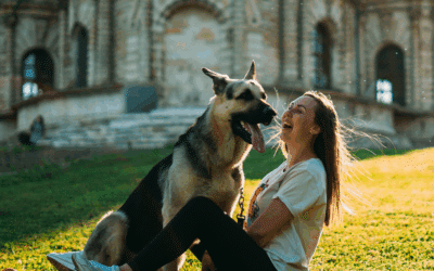 Holiday Dog Sitting for Northern Virginia Families: Trusted Care in Alexandria, Annandale, and Fort Hunt