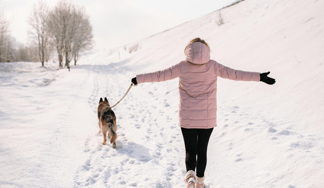 Winter Dog Walking in Arlington: How We Keep Your Pup Warm & Protected
