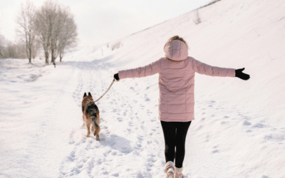 Winter Dog Walking in Arlington: How We Keep Your Pup Warm & Protected