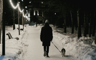 Pet Safe Ice Melt: What Northern Virginia Dog Owners Need to Know About Winter Paw Irritation